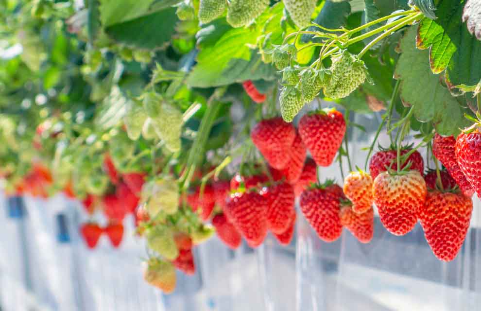 Generic business image for news article