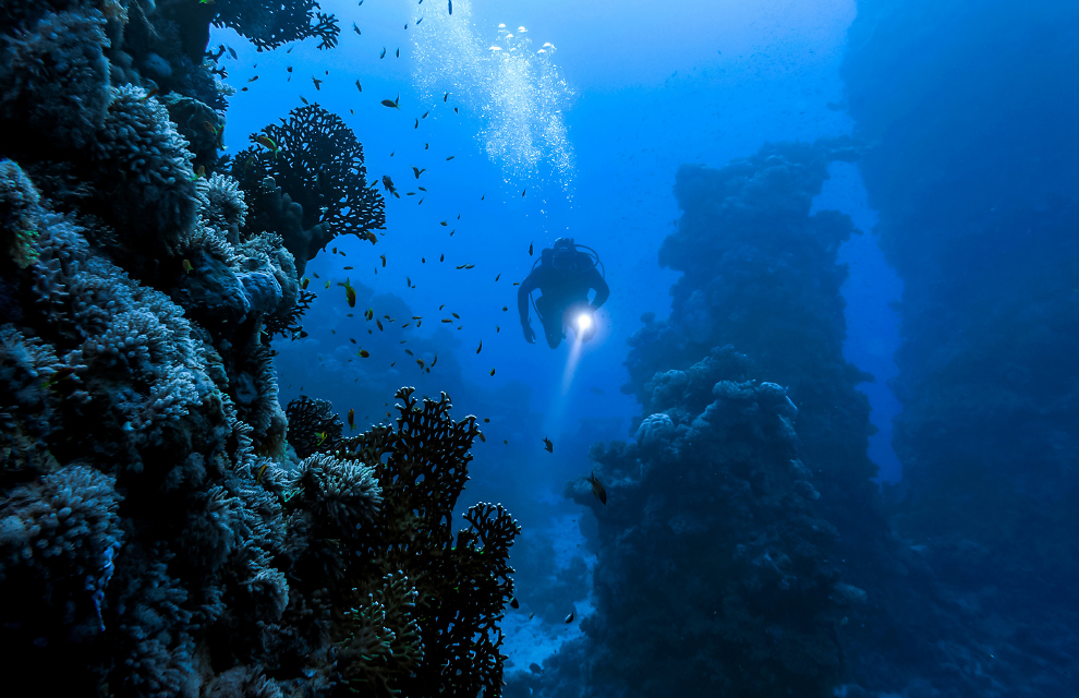 Generic business image for news article