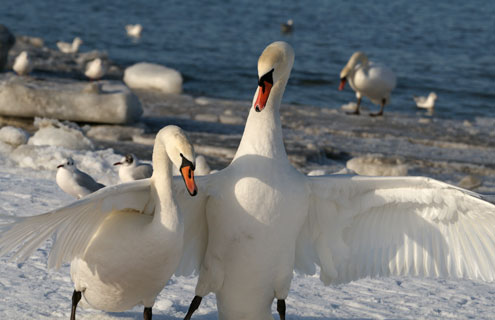 Generic business image for news articles