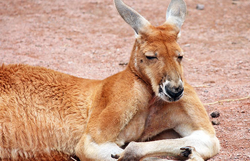 Generic business image for news articles