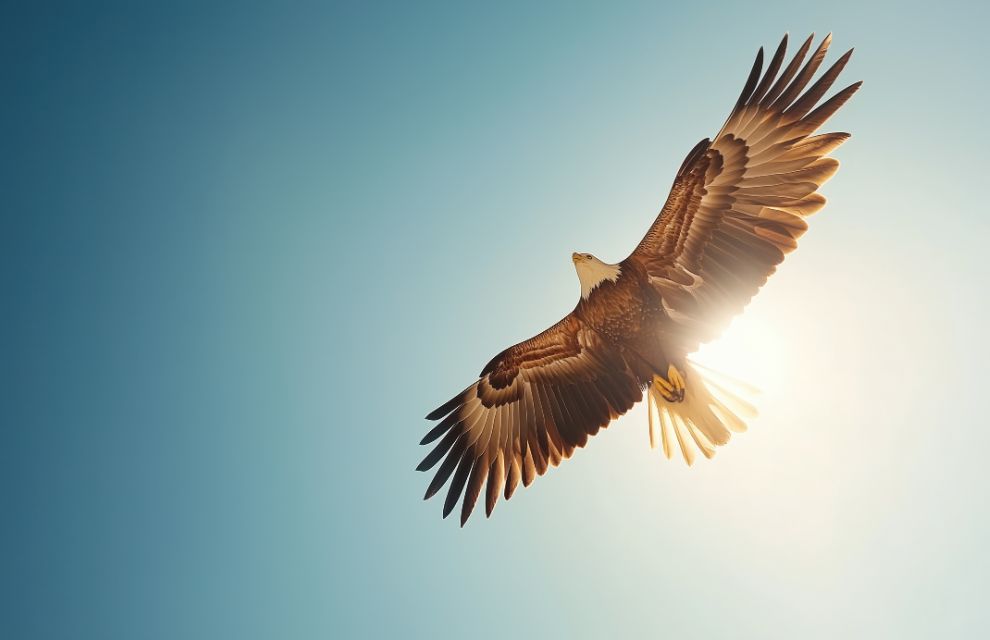 Generic business image for news article